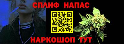 прущие крисы Камышлов