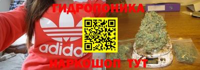 прущие крисы Камышлов